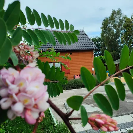 Domki Na Winnicy Zator Dom wakacyjny Przeciszow